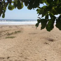 robin48@xh avatarképe