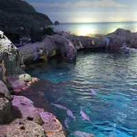 Imagem de avatar de TheDreamShatterer