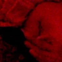 johnexotica's Profile Pic