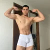 Max_valiant