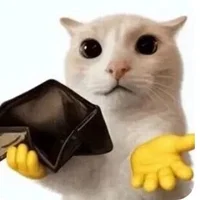 Ảnh Đại Diện QQiQQi008