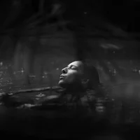 gala420cooks profilbillede