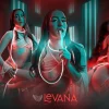 levana1