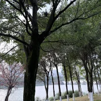 -Agoni: изображение аватарки