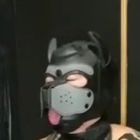 Avatar obrázek InuHao88