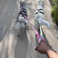 BuiltinHonshu এর প্রোফাইল ছবি