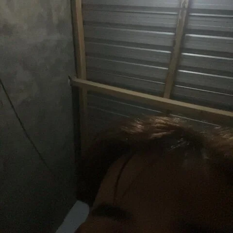 rendhy212 profile photo