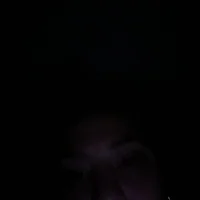 Beelovee98
