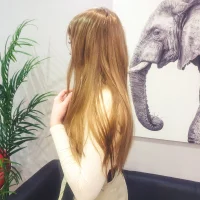 Foto do perfil de serenasing
