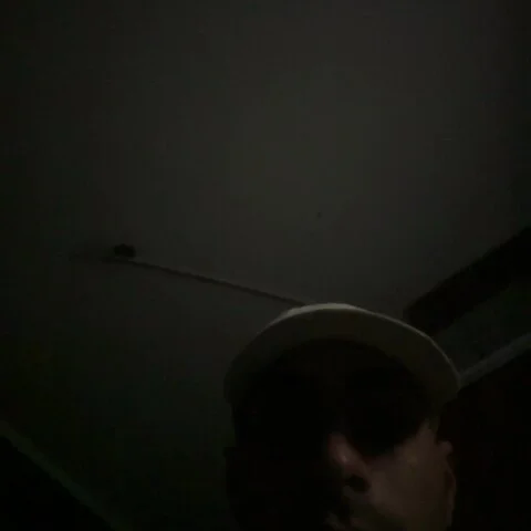 LeavedMain profile photo