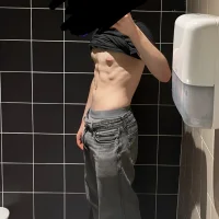 Модель Loulou_2007