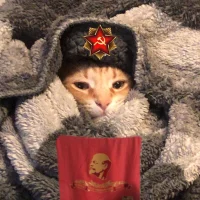 ephixistのアバター写真