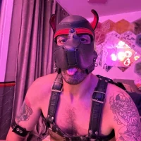 danix_wild_wolf Avatarbild