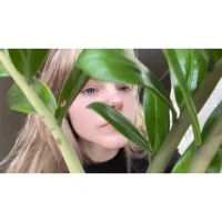 All_ie's Profile Pic