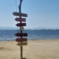 Аватар Bongosss69000