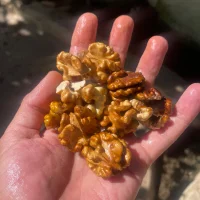 bigdick_biw's Profile Pic