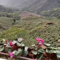 รูปอวาตาร์ของ Morichika_love