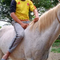 Alejandro30y's Avatar Pic