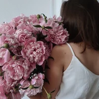 vilaafn's Profile Pic