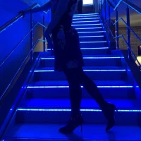 Lekisses's Profile Pic