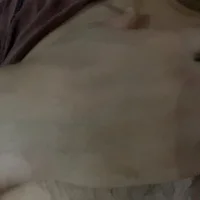 andrecmoons Profilfoto