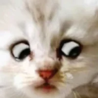 mosquitoes05 Adlı Modelin Avatarı