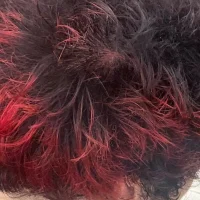 Slika avatara modela Woadies4