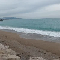 Manuel800622's Avatar Pic