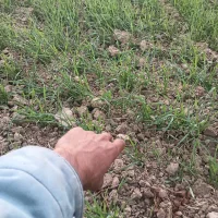 Kaala_Boy Adlı Modelin Avatarı