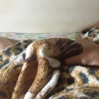 Foto de perfil de Safadoanonimo6969