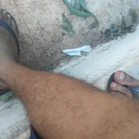 Foto do avatar de pauviciantegg