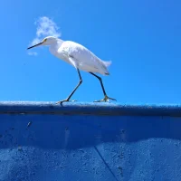 Klyan_Jr-8のアバター写真