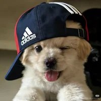 Аватар Favorite-boy-
