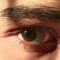 AdorableLifeboat9's Avatar Photo