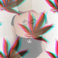 highlysweet Φωτ, Προφίλ