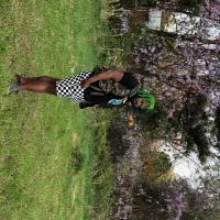 xenoluvs의 프로필 사진