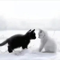 yanyan-001 Gambar Avatar