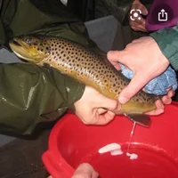 dan2072's Profile Pic