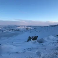 صورة أفاتار Charliecamille