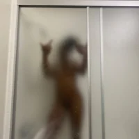 PlantedPuss profiképe