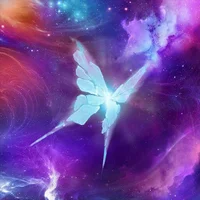 Transport10D Poză avatar