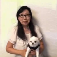 SHOOKO এর প্রোফাইল ছবি