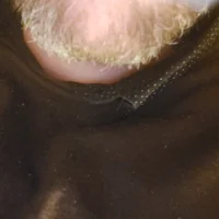 BlurryKinky1551n Avatar kuva