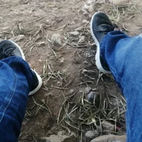 crissescobar6690's Profile Pic