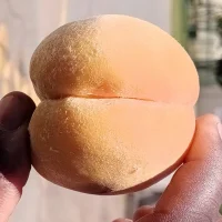 BhutGSport's profielfoto