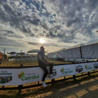 mitrandyrのプロフィール写真