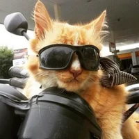 pannenkoek35's Avatar Pic