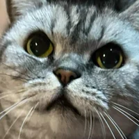 ba__csa's Avatar Pic