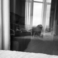 Czat XXX na żywo – NeEdnaBradley