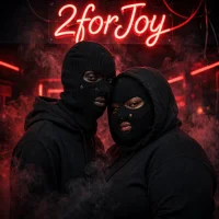 2forJoy webcam